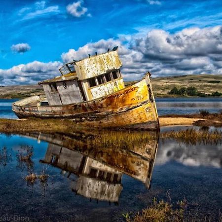 The Quail'S Nest Retreat Villa Point Reyes Station Bagian luar foto