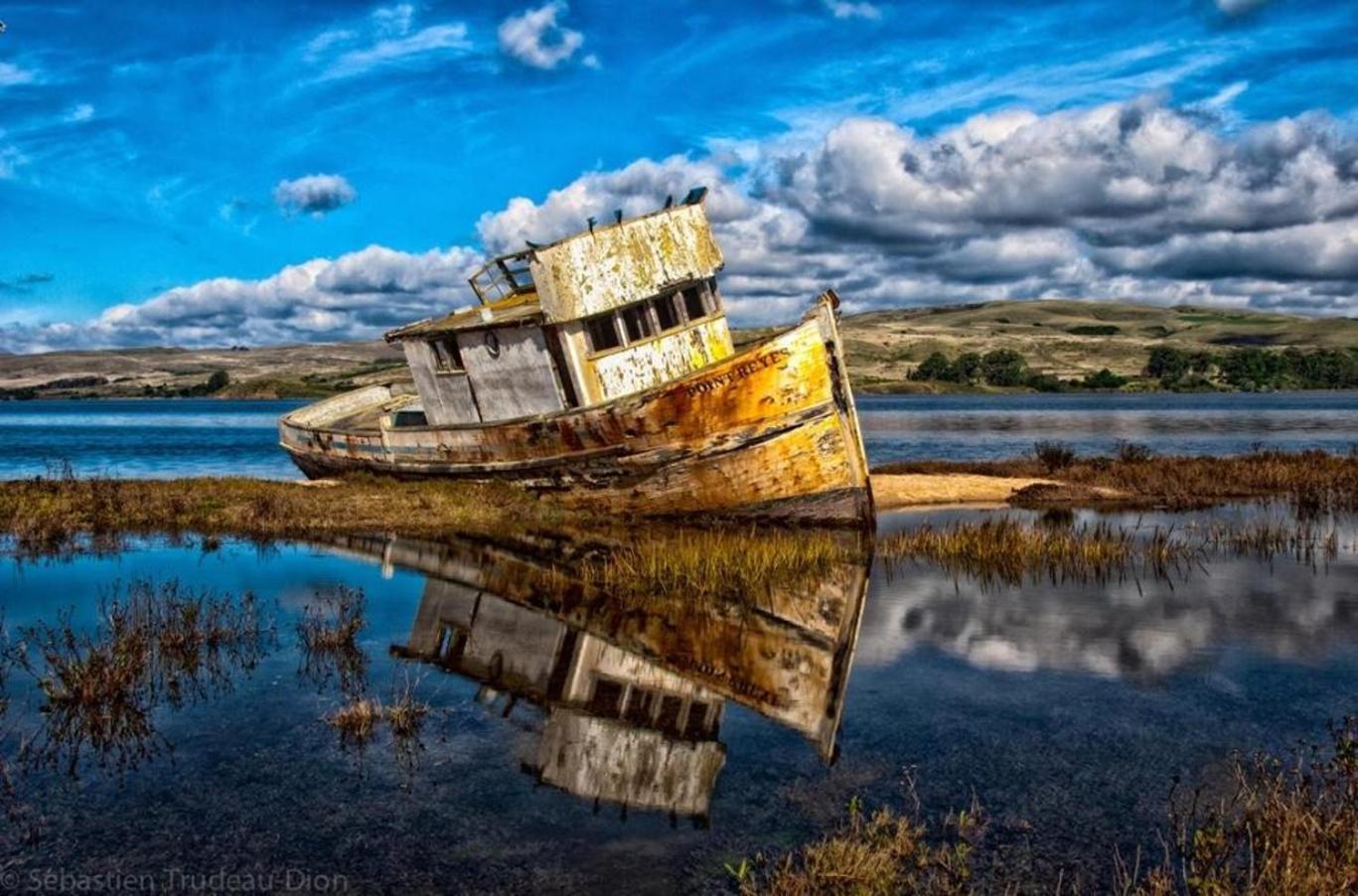 The Quail'S Nest Retreat Villa Point Reyes Station Bagian luar foto