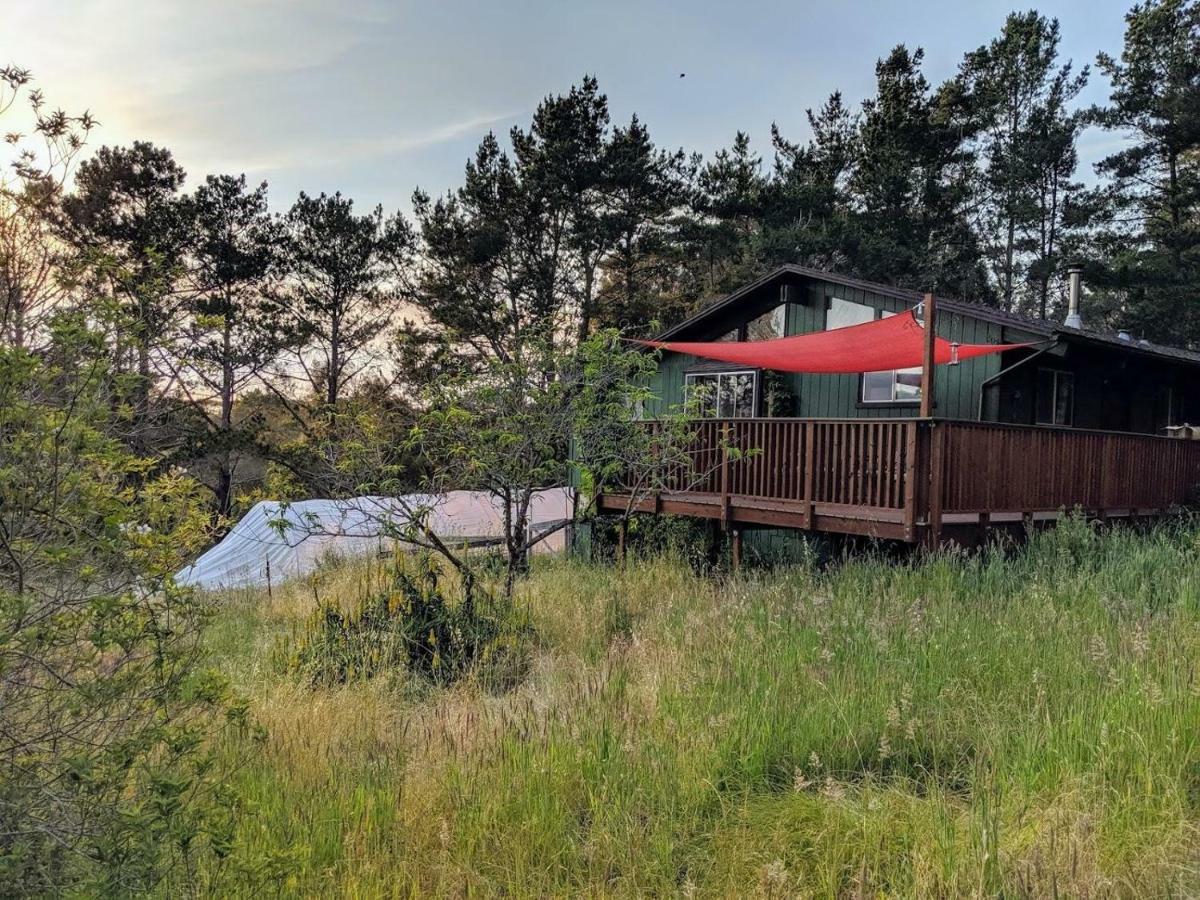 The Quail'S Nest Retreat Villa Point Reyes Station Bagian luar foto